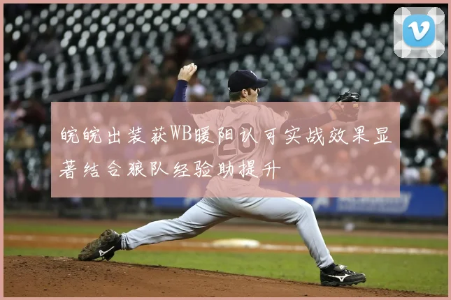 皖皖出装获WB暖阳认可实战效果显著结合狼队经验助提升